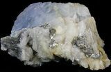 Thick, Tabular Blue Barite Crystals on Pyrite - Morocco #42224-4